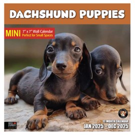 RED EMBER Select - Dachshund Puppies Mini 2025 Wall Calendar 12 Month | 7" x 14" Open | Thick & Sturdy Paper | Giftable | Calendar 2025