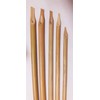 MaryamOvais 5 Bamboo Reed Qalam/Pens with Ink Black 10 ml