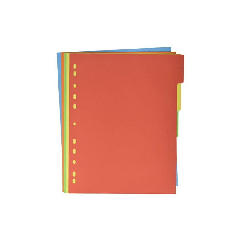 Pagna 32004 20 Register A4 XXL, 5 colours