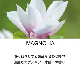 エステバン エスプリ ド ナチュール マグノリア 40本入