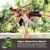 BTGIN Bon Korean Red Ginseng Extract Immune Support for Focus