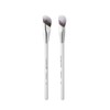 Albeaut Concealer Makeup Brushes 2 PCS Angled Brushes for Liquid,