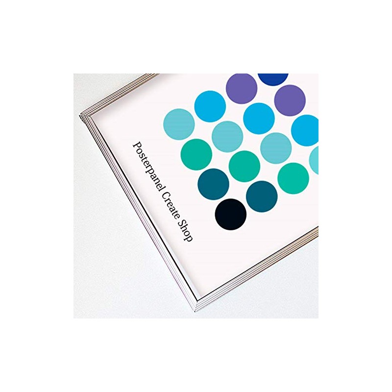 Poster Frame CR511 B2 Size 728x515mm