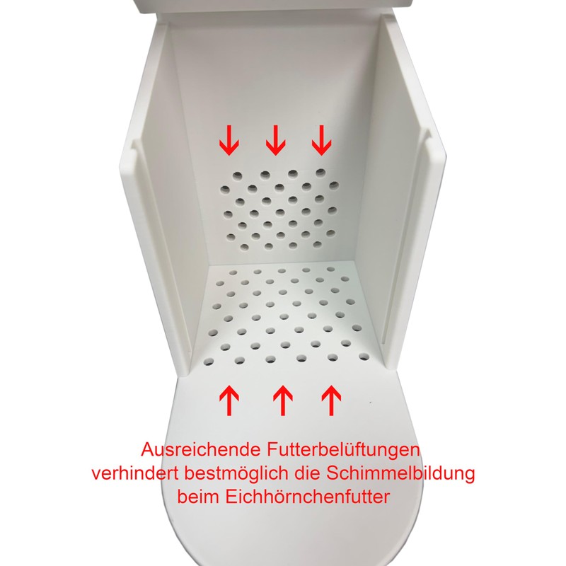 Squirrel Feeding Box - Squirrel Feeding Station - Squirrel Feeding