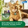 Advantage XD Large Cat Flea Prevention & Treatment For Cats