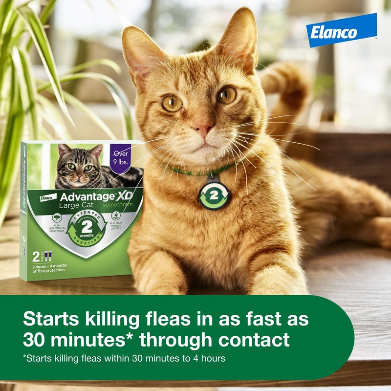 Advantage XD Large Cat Flea Prevention & Treatment For Cats