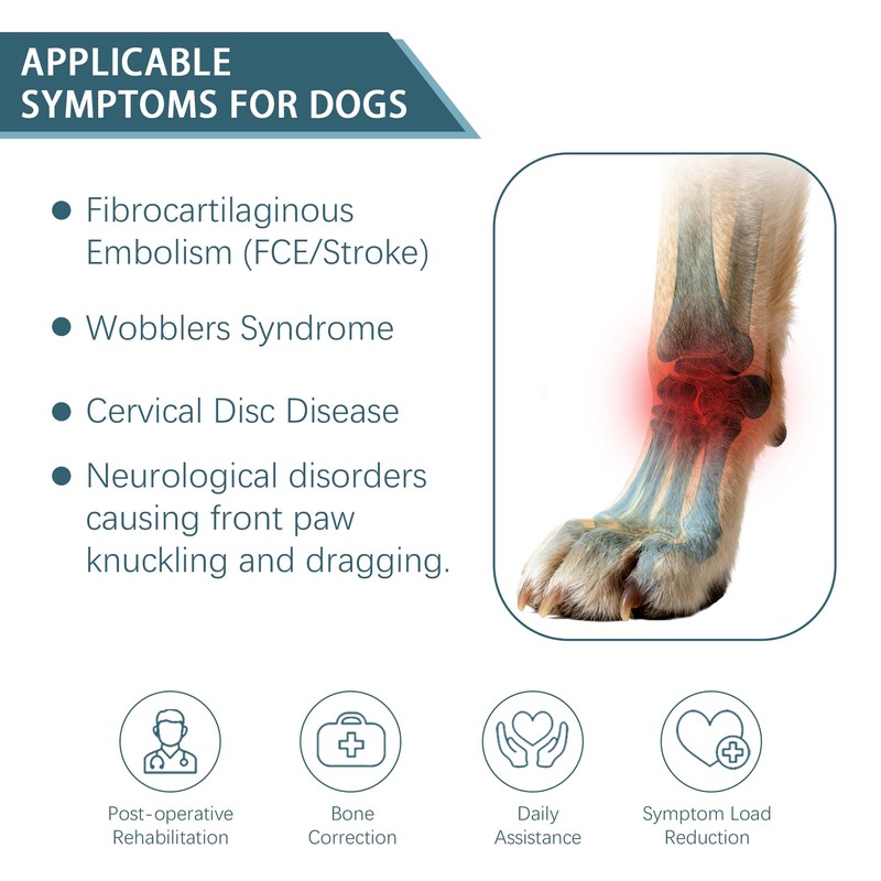 HAPPYHAO Dog Knuckling Brace, Dog Toe Grips for Wrist Arthritis,