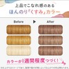 LUCIDO-L Inner Color Treatment #Sheer Chocolat Hair Color Treatment Brown
