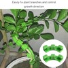 ZBHDEYG 40pcs Bender Plant Bending Clamp Branch Low Pressure Training
