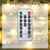 Haosonw Lemon Decor String Lights, 10FT 40 LED Lemon Decorative