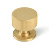 SALISENG Brushed Gold Kitchen Cabinet Knob - Solid Brass Dresser