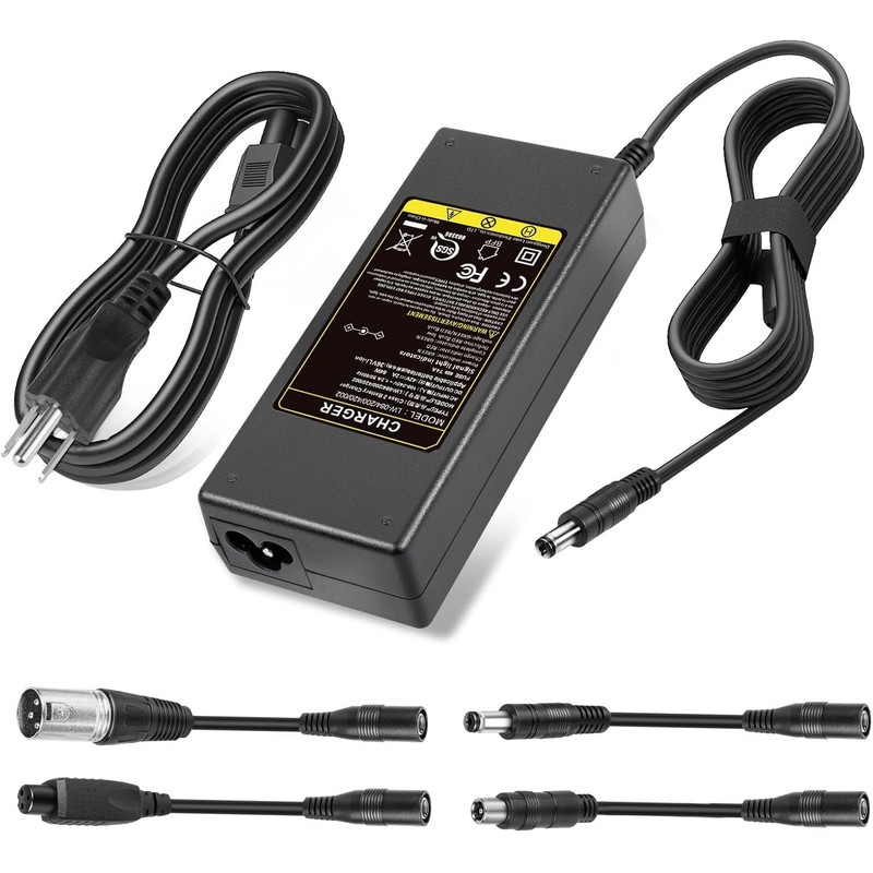 SGS Certified 42V 2A Scooter Charger with 5 Plugs Connections,