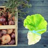 SEWACC 8 Piezas Bridas de Silicona Multiusos de Grado Alimenticio