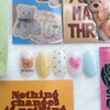 Tiny Bear ⚆ᴥ⚆ - Petit Round / 옹졸한곰돌이 ⚆ᴥ⚆ -