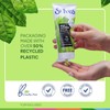 St. Ives Exfoliante Facial, Té Verde y Bambú, 170g