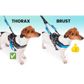 ACARAPETS Dog Harness and Lead, 3 Rings, Padded and Breathable with Elastic Double Leash, Reflective, Adjustable, for Walking and Running (Black, M with Leash)