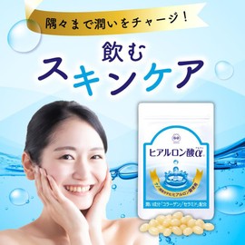 (Official) Wakasa Lifestyle Hyaluronic Acid Supplement (Formulated with nano-hyaluronic acid that absorbs 19 times more efficient), Collagen, Low Molecular Hyaluronic Acid Blend, 31 Capsules, 1 Month Supply