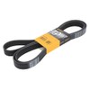 Contitech 8PK2630 Stiée Belt