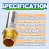 AquaNeurk Stainless Steel Water Hammer Arrestor, 3/4 Inch MHT Straight