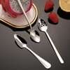 Grapefruit Spoon, 5-Piece Set, 4 Stainless Steel Grapefruit Spoons and