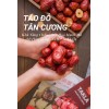 Tao Do Tan Cuong 1 Bags X TAO DO Tân