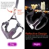 Wocharm Dogs Breathable Harness with Leash Adjustable Outdoor Walking Pet
