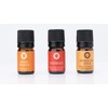 Essential Oil Blends Citrus Blast Set/3