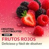 BEYOND VITAMINS Creatina Monohidratada con Electrolitos y Ciclodextrina para Mejor