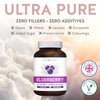Elderberry 4:1 Extract Capsules (Non-GMO) Equivalent to 2,000mg Fresh Sambucus