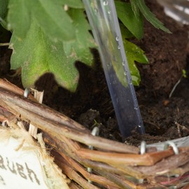 Relaxdays Plant Watering Globes Set, 2-Week Reservoir for Potted Plants, Plastic, Various Colours