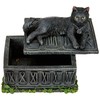 Nemesis Now B2808G6 Fortune's Watcher Tarot Box 17cm Black, Resin