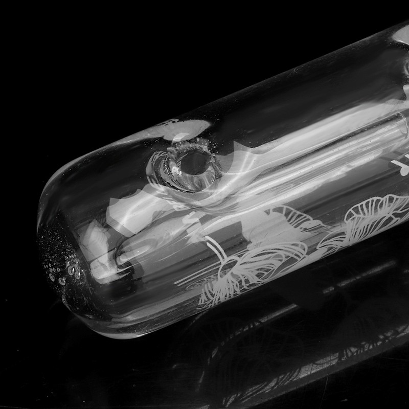 Fish Grass Tanks Glass Beautiful Planarian Catcher High Hardness Lasting
