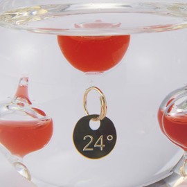 Chatani 333-218 Fun Science Glass Float Thermometer, Apple