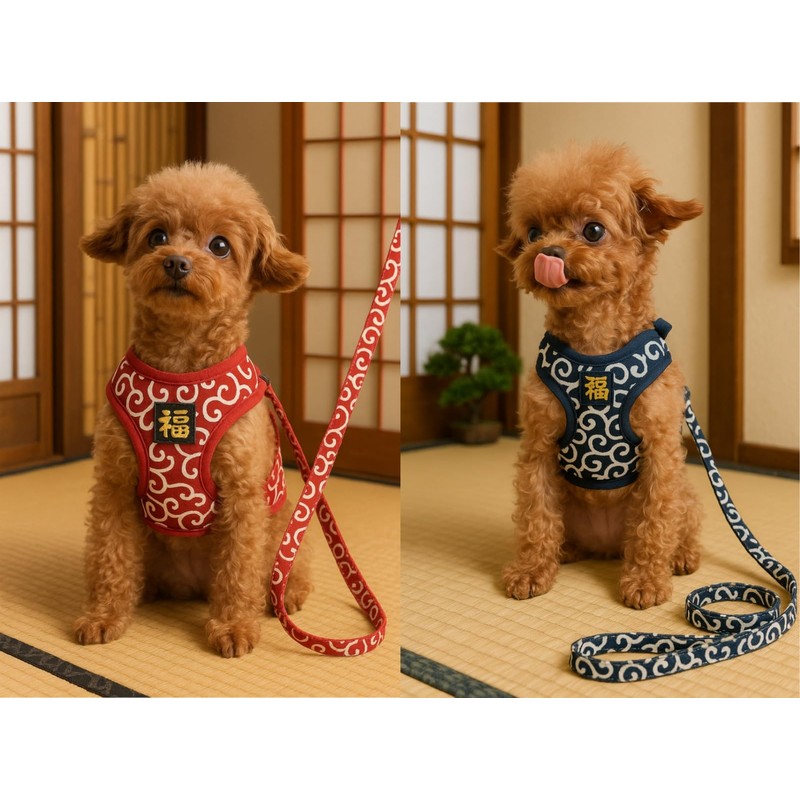 JOYFUSION Harness for Dogs, Arabesque Pattern, Dog Harness and Lead