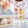 220+ Mixed Sea Shells Starfish for Crafts, DIY Decorations, Beach