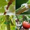 Tomato Clips, Plastic Trellis Clips Plant Support Clips, 100PCS Plant