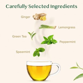 VAHDAM, Ginger Mint Green Tea (200g) Aromatisch & Köstlich | Mischung aus Ingwer & Minze | 100% Reine grüne Teeblätter | Aufbrühen Heißen/Eistee