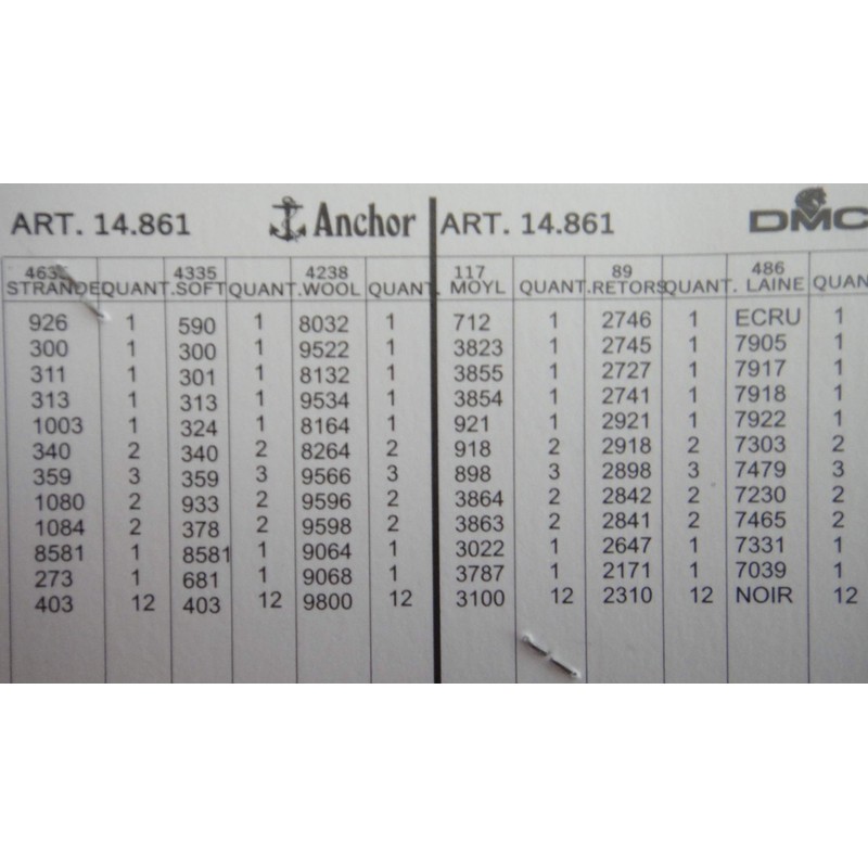 GOBELIN L Printed Canvas for Tapestry Embroidery Needlepoint (Canvas, Lyrics