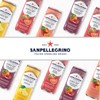 Sanpellegrino Zero Grams Added Sugar Italian Sparkling Drinks Blood Orange,