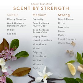 Aera Sandalwood Home Fragrance Scent Refill - Notes of Sandalwood, Balsam and Oud - Works with The Aera Diffuser