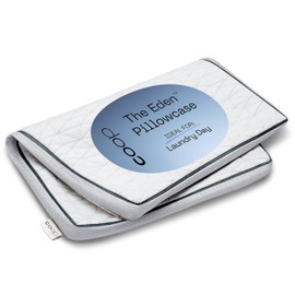 Coop Home Goods Eden Cool Pillow Cover, Queen - Pillow Case for Memory Foam Pillows - Breathable Ultra Soft Fabric Pillow Covers from Polyester/Rayon