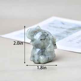 DZJXBZhu Moonstone Elephant Crystal Statue 2.0” Healing Crystal Meditation Pocket Figurine Statue Natural Gemston Hand Carved Polished Home Room Office Desk Decoration Gift Collect