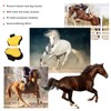 Horse Tendon Boots 4 PCS Protective Comfortable and Adjustable Boots