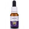 Living Essences of Hops Bush Essential Oil 100 ml