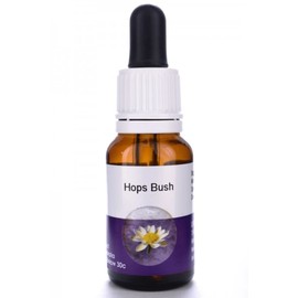 Living Essences of Hops Bush Essential Oil 100 ml