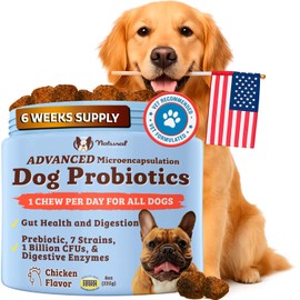 Natural Dog Company Gut Health & Canine Specific Probiotics Chews, 1 Daily Chew for All Dogs, Prebiotics & Digestive Enzymes for Digestion, Gas, Loose Stool, Immune System & Bowel Support