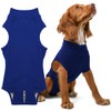 PupShield - Dog Surgery Recovery Suit Male and Female -