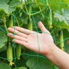 Trellis Netting for Climbing Plants, 6.6x9.85 FT Heavy Duty Garden