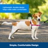 PetSafe Easy Walk Harness, No-Pull Walking Harness for Dogs, Adjustable