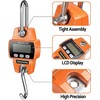 Digital Hanging Scale 660 LB 300 KG - Professional Heavy